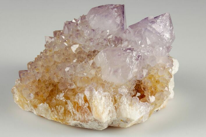 Cactus Quartz (Amethyst) Crystal Cluster- South Africa #187179